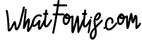 MEILOLY - Handwritten Monoline Script
