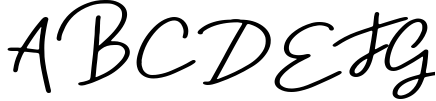 Signature font collection 15in1 16 Sample