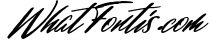Signature font collection 15in1 6