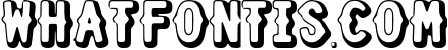 SHOURTCUT Typeface - Display Font 3