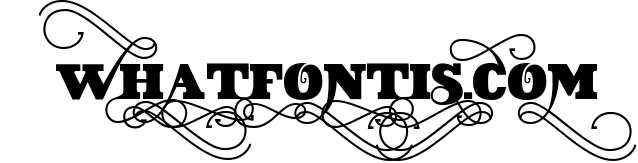 VIDIZ PRO Typeface 4