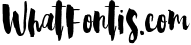 Steady Bonanza Multistyle Fonts 2