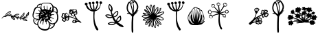 Herbarium font. New Language Update! 1