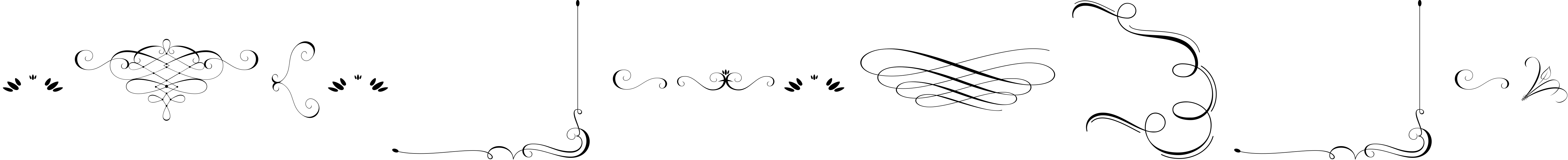 Brainly Script- With Ornament