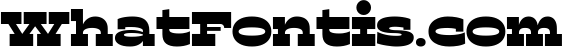 Ruston Font Family 90