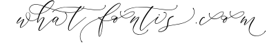 Cintha Elegant Script