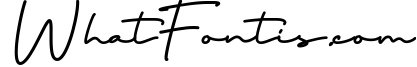 Signature Script - Thoderan Notes Font