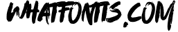 Blackyard OpenType - SVG Font