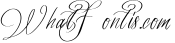 Olwas Script (Extra bonus 200+ ornaments)