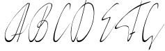 Elegance - delicate script Sample