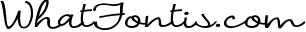 ZP Supermind 1