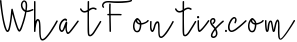 Brush Stroke  Bonus Font
