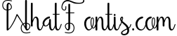 Holliday script