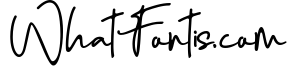 Enthusiast Behavior - Stylish Signature Font