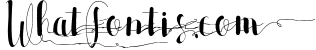 Allia Typeface 4