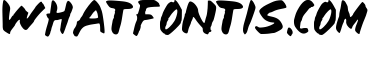 Norman Display Font