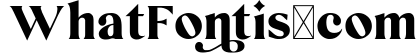 Wewed Font - Wedding Alternate Glyphs