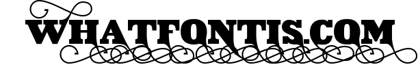 VIDIZ PRO Typeface 2