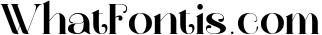 Wano Quin Black| Beautiful and Elegant Serif Font