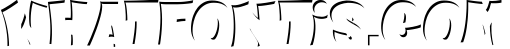 CHEESE ROLL 1