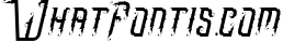 Omnivorous 9