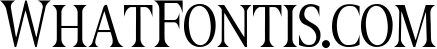 Berlin Script + Great Serif