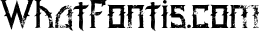 Minoru Font 3