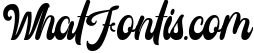 Castela 3 fonts with extras