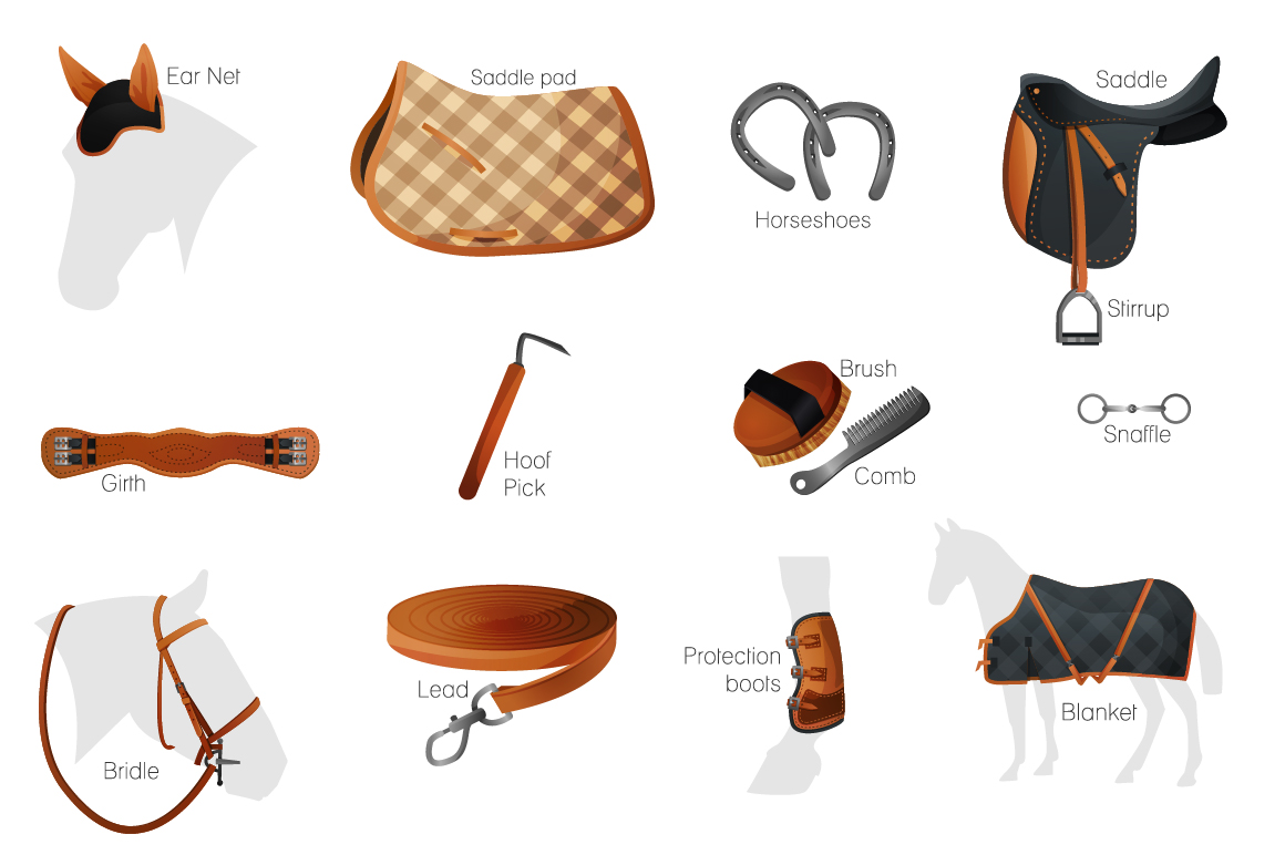 Vector Equestrian Horse Equipment 13 It Design Bundles