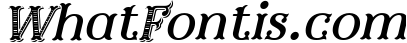 Furius 2