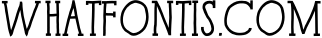 Paris Serif Family 2